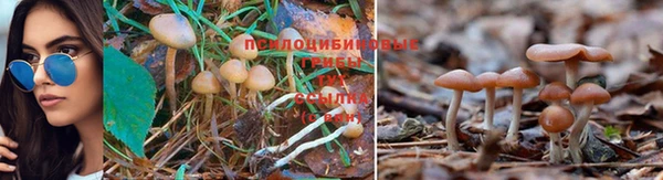 винт Богородск