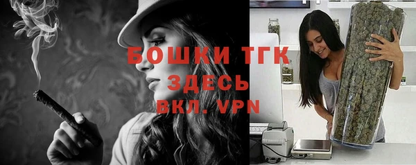соль ск Богданович