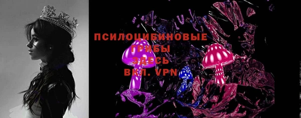 соль ск Богданович