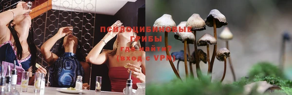 дурь Богородицк