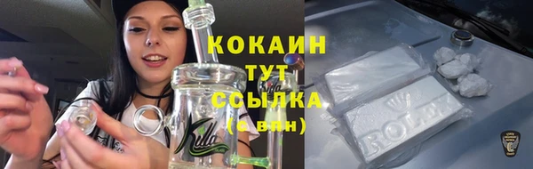 дурь Богородицк