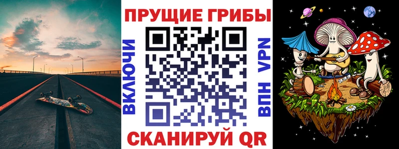 Купить закладки  Полярные Зори  Галлюциногенные грибы Psilocybine cubensis 